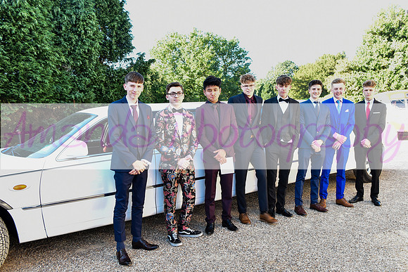 Prom 27-06-18  (5)